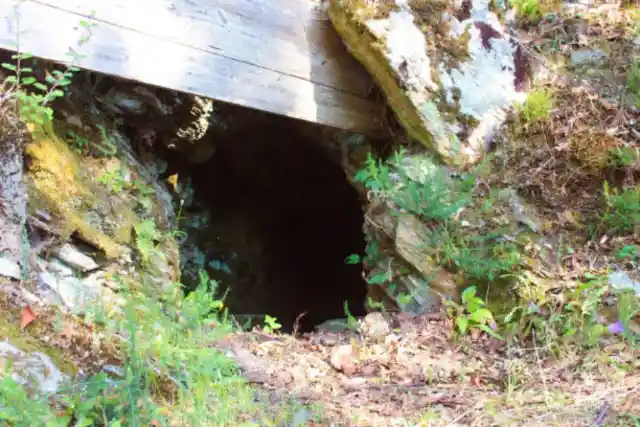 Under Your Property