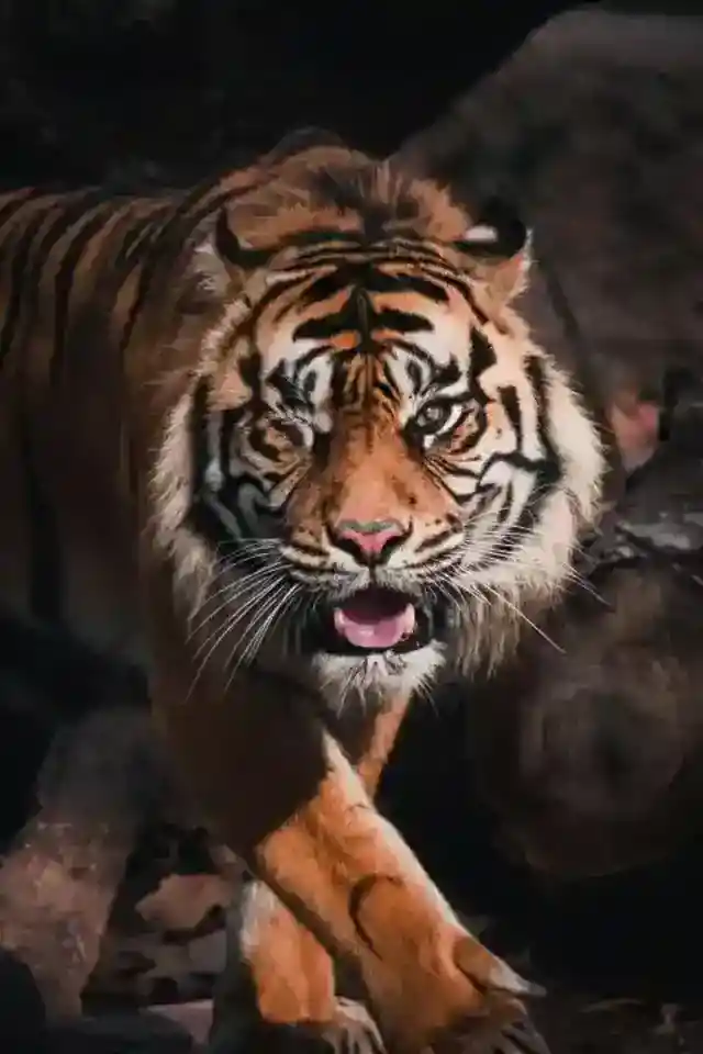 Additional Aggression