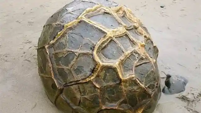 Mining Company Busts Open Rock, Not Knowing What They Were Looking At, Realizes His Mistake