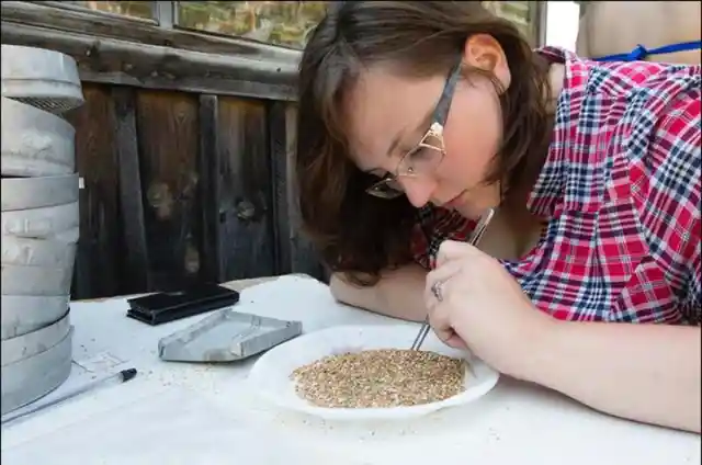 Experience And Expertise