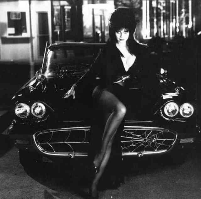 Cassandra Peterson as Elvira, Mistress of the Dark