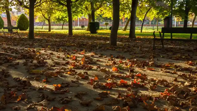 Der Tag des Fotoshootings