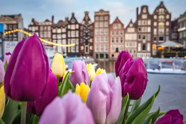 4 Facts About Amsterdam You Probably Didn't Know