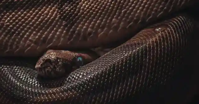 A Horrifying Realization