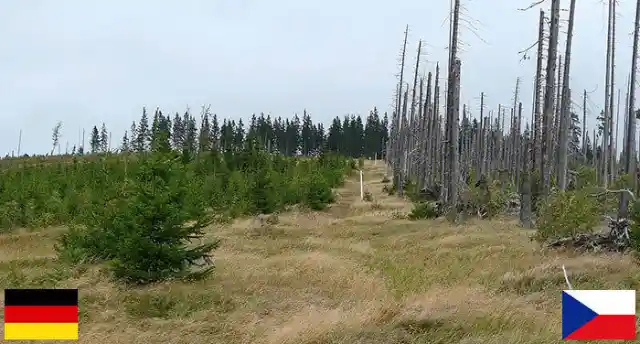 National Park Bordering Germany and the Czech Republic