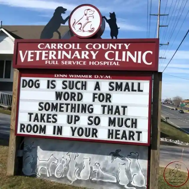 45 Signs To Make Your Pet's Vet Visit Enjoyable For Both Of You