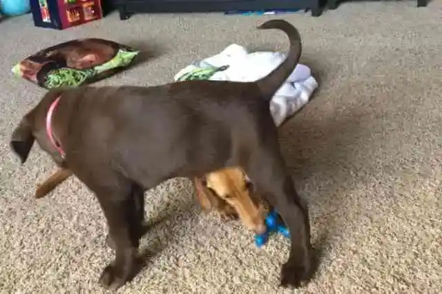 生まれたときから個性的で唯一無二