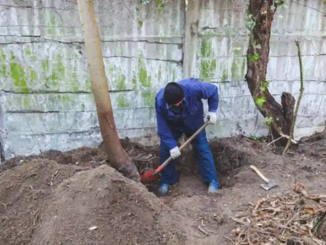 Sticking To The Plan 