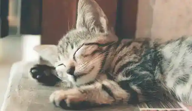 あなたならできる！