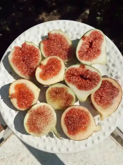 Figs
