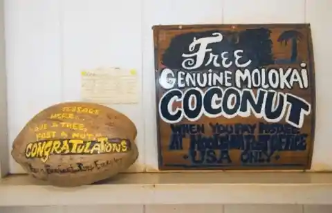 Mail a Coconut Without Additional Fees