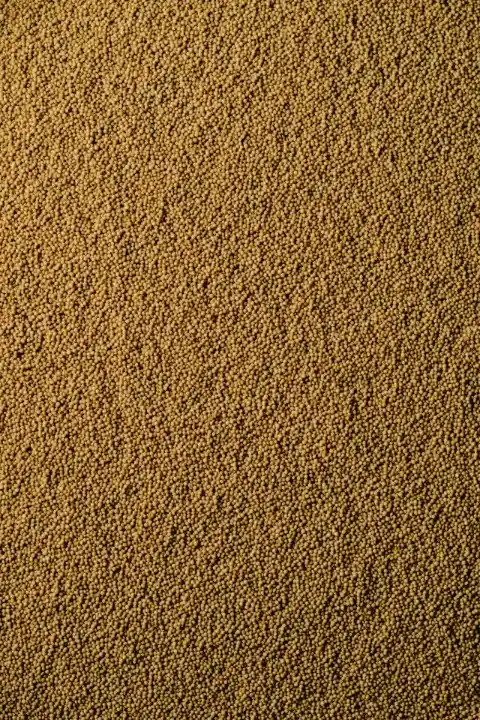 Amaranth