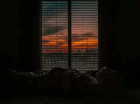 Lily Screamed