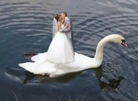 40 Funny Wedding Photos That Ooze Awkwardness And Cringe