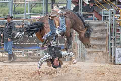 When The Rodeo Decides You're The Show