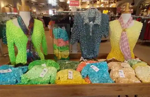 A Mix of Reptile Scales and Bird Feathers