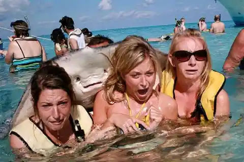 40 Unfortunate Travel Experience Captured On Camera