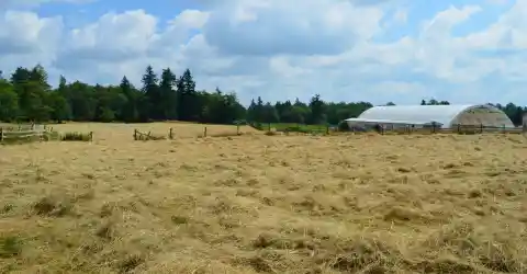 Fallout in Glenfield