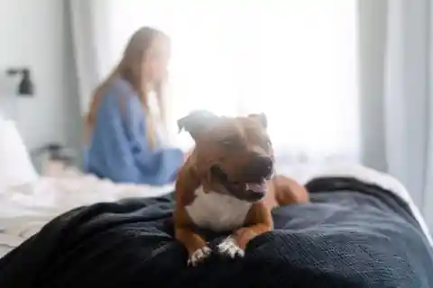 Everyone Was Asleep