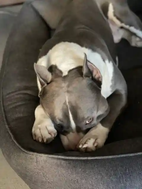 Together To Sleep