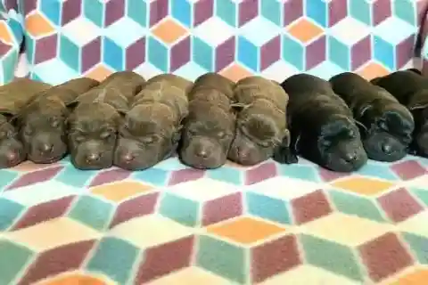 彼女たちを特別にしたもの