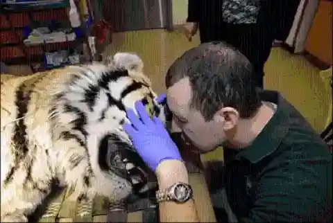The Examination