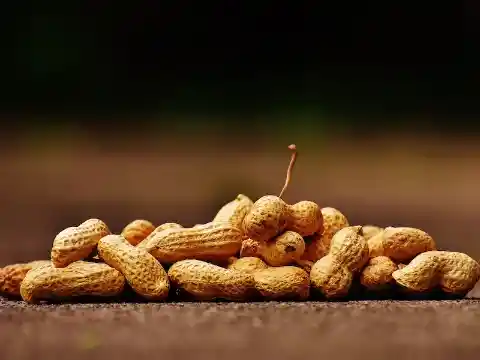 Biting Off More Than He Can Digest
