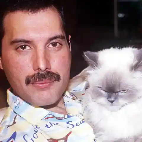 40 Facts That Shed Light On Freddie Mercury’s Intriguing Legacy