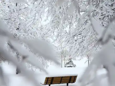 Through The Neighborhood