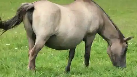 Strenuous Activities