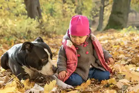 Growing Up Together