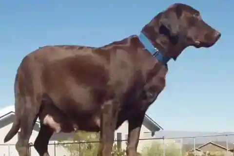 誰もが予想していた以上のもの