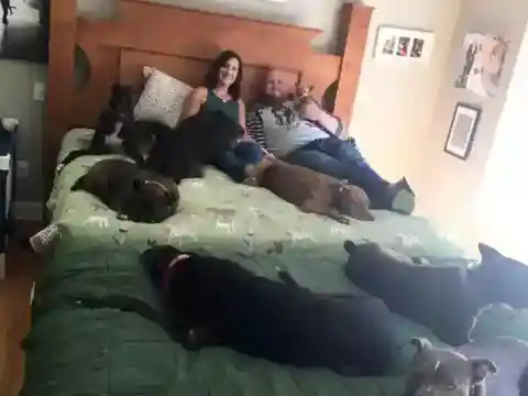 Chris's Friend Adopted Storie