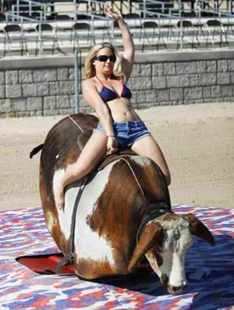 Bikini vs. Bull: The Ultimate Showdown