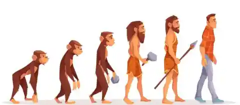 Are Humans Descendants of Modern Apes?