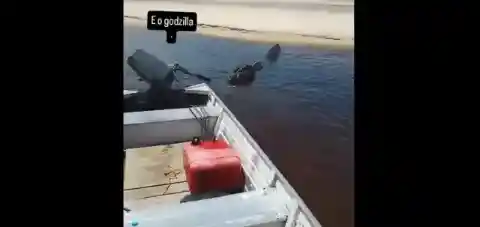 Crocodile Encounter: Boat vs. Beast