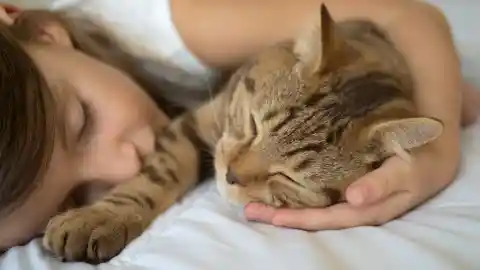 A Nightly Routine