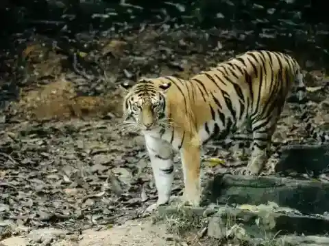 次に起こったこと