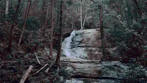 Connecting With Nature