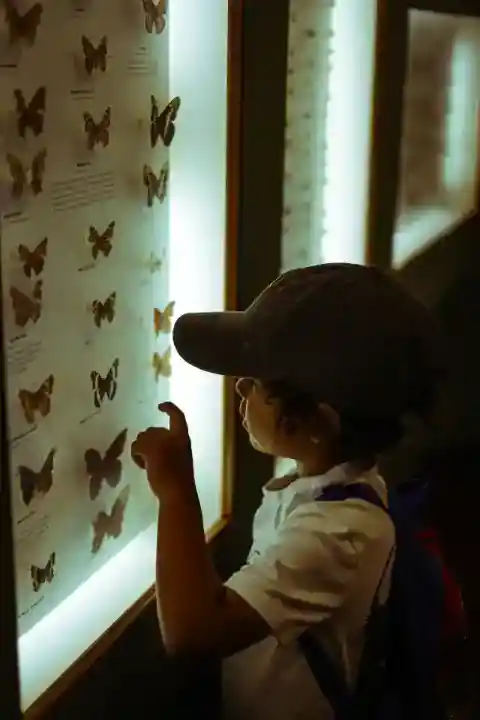 理解不能な行動