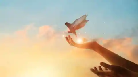 A Ray Of Hope