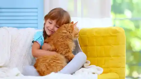 Not The Typical Bedtime Story