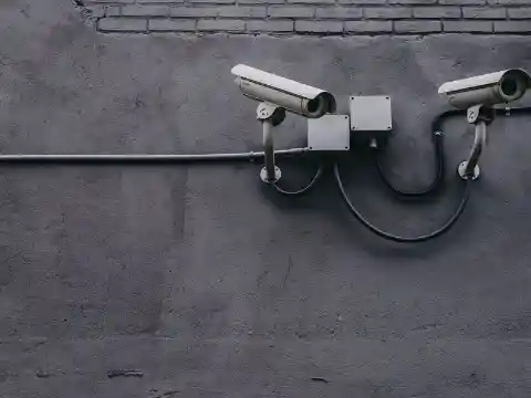 The Watcher