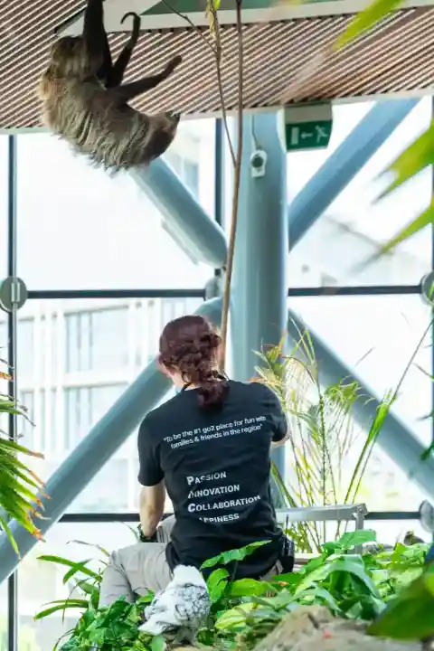 Symbol Of Hope