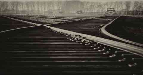 Mysterious Tracks: A Heart-Pounding Trail of Discovery
