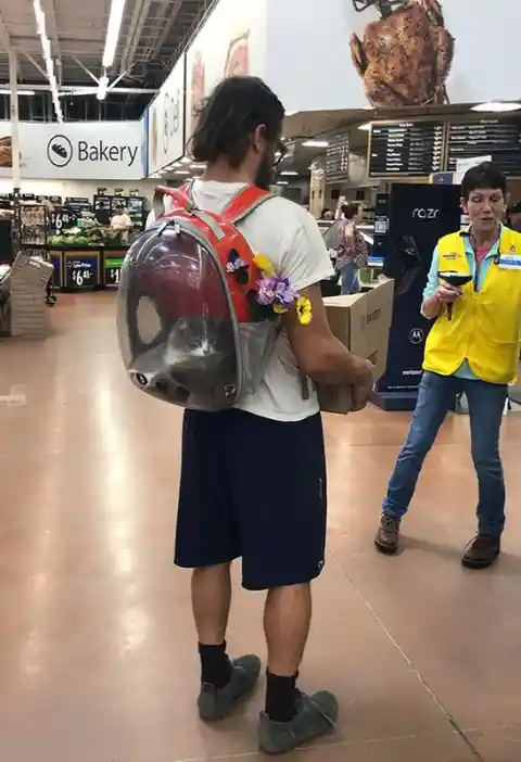 Mira esa mochila para gatos