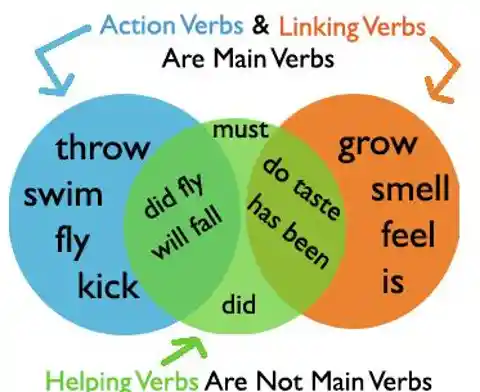 Which verb is NOT an action verb?