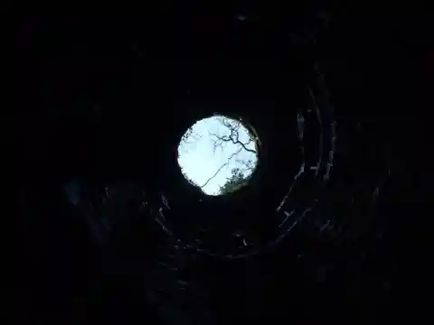 In Too Deep