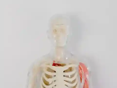 Just A Flesh Wound