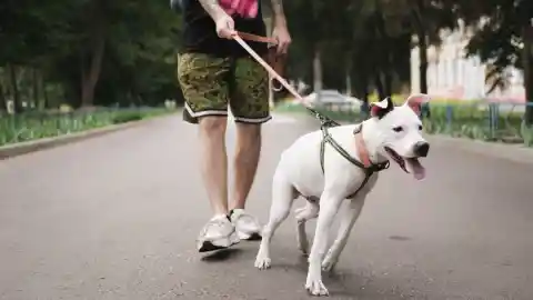 Their Familiar Route